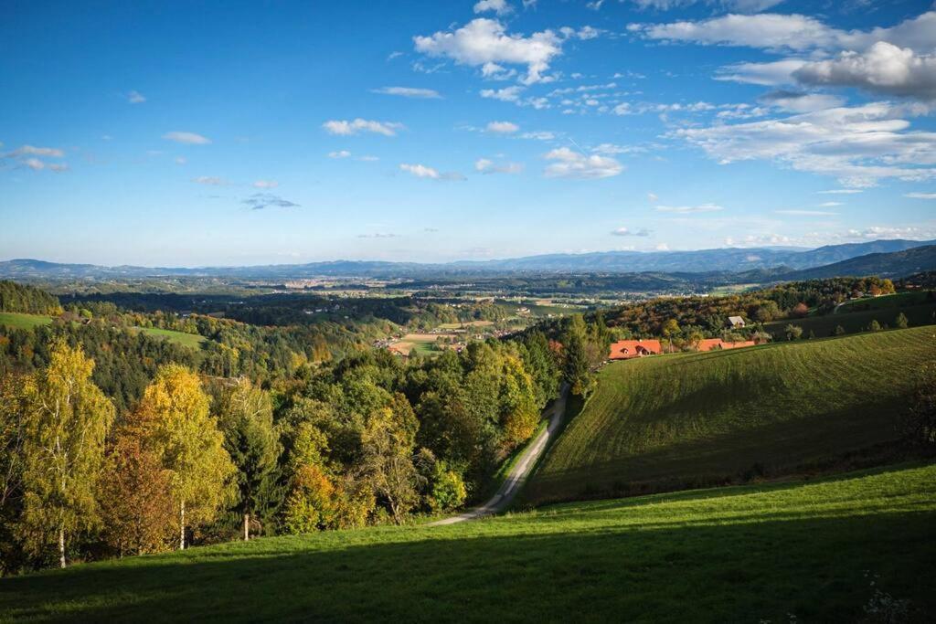 Chalet-Suedsteiermark - Traumhafte Aussicht, Infinity Pool, Privatsphaere, Klima Und De-Luxe Ausstattung Schwanberg Eksteriør bilde